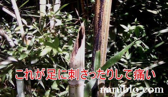 竹を斜めに切ると足に刺さったりして危険です