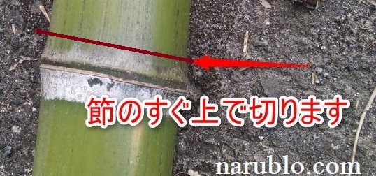 竹は節のすぐ上で切ります